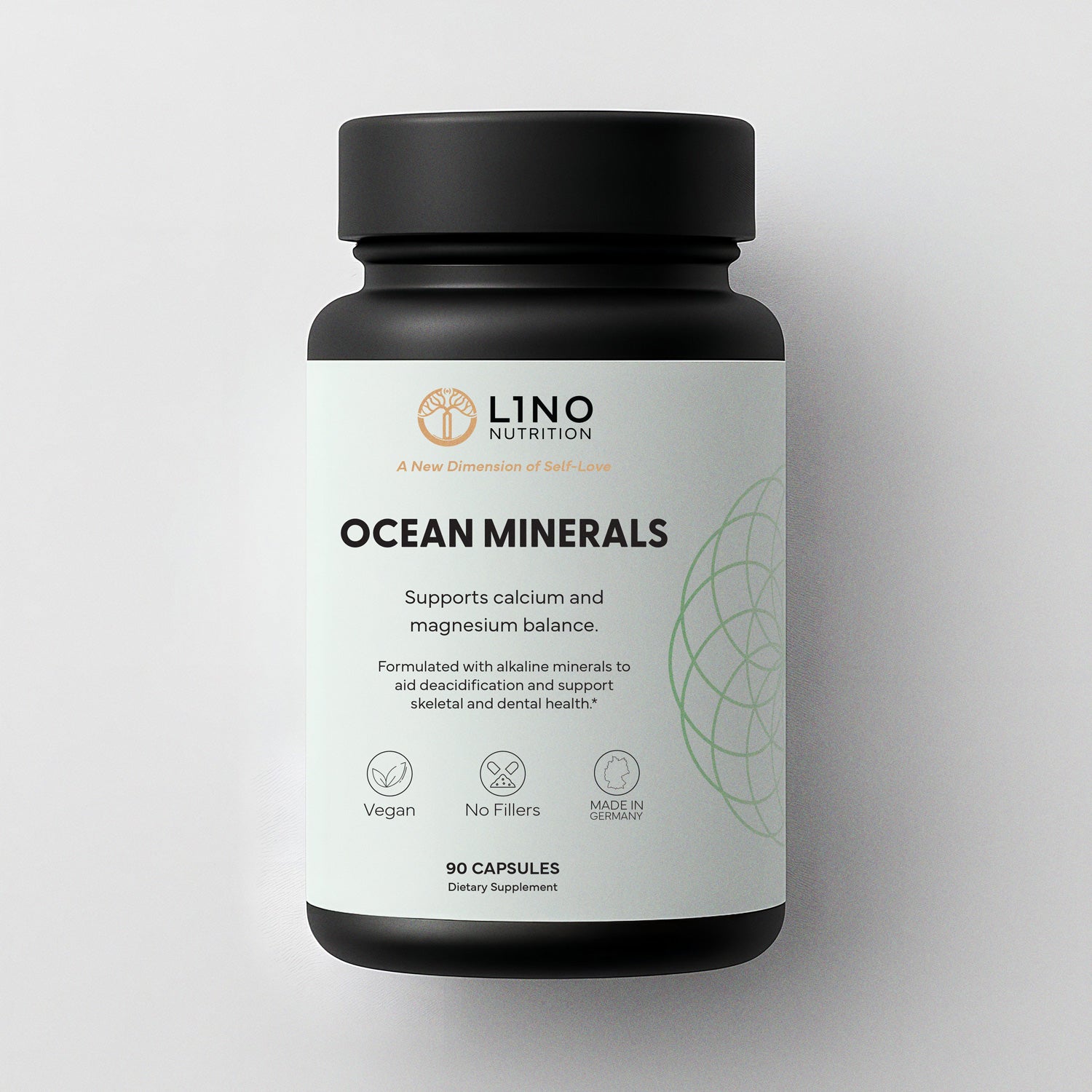 Ocean Minerals