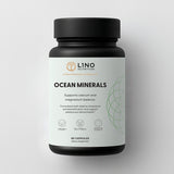 Ocean Minerals